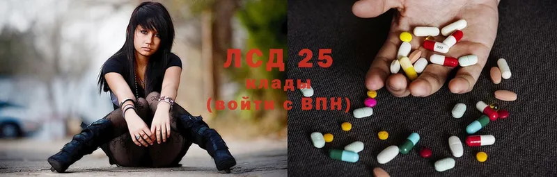 блэк спрут как войти  магазин продажи   Болхов  Лсд 25 экстази ecstasy 